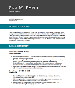 teal block headers resume template